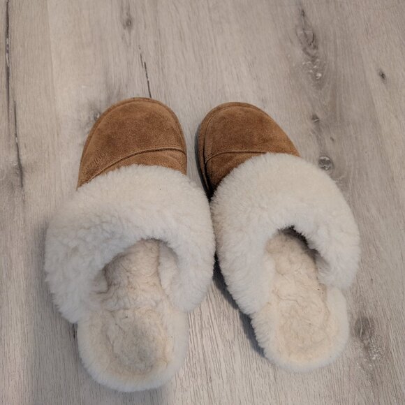 NukNuk - Picture 1 of 4